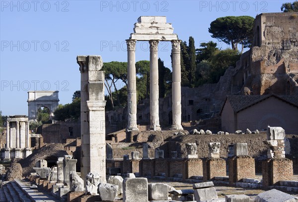 ITALY, Lazio, Rome, The floor of the Forum with the Temple of Vesta the Arch of Titus and the three Corinthian columns of the Temple of Castor and Pollux in front of the Palatine hill with the Basilica of Julia named after Julius Caesar in the foreground