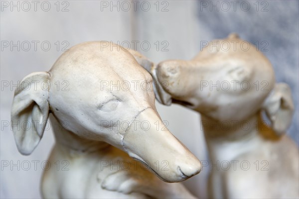 ITALY, Lazio, Rome, Vatican City Museums Detail of a marble statue of one dog licking the ear of another in the Room of Animals in the Belvedere Palace