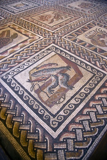 ITALY, Lazio, Rome, Vatican City Museums Detail of a Roman mosaic on the floor of the Room of Animals in the Belvedere Palace