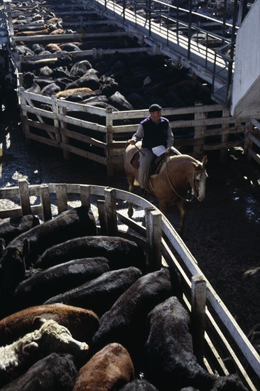 ARGENTINA, Buenos Aires, Man riding horse between cattle pens in huge cattle market.