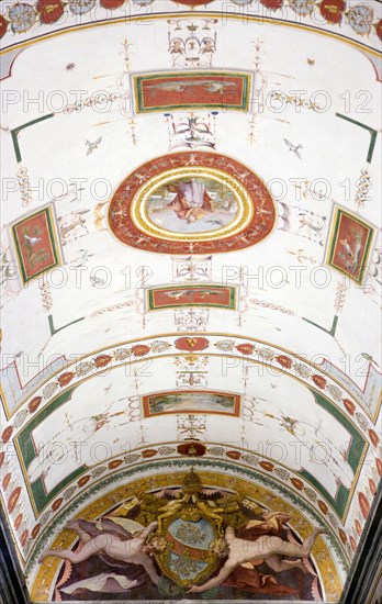 ITALY, Lazio, Rome, Vatican City Museum Painted ceiling detail