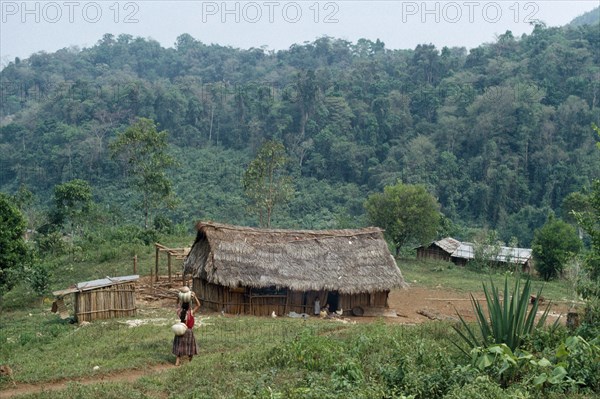 GUATEMALA, Alta Verapaz, Semuy, Q’eqchi Indian refugee village. Woman walking along path carrying a pot on her head towards a thatched roof home with children and livestock gathered at the doorway. Surrounded by lush green rainforest and vegetation