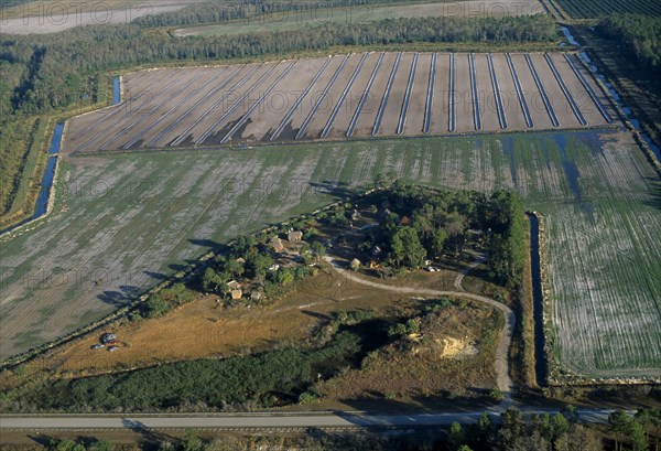 USA, Florida, Everglades, Aerial view over Independent Seminole Native American settlement amongst citrus groves and agricultural land