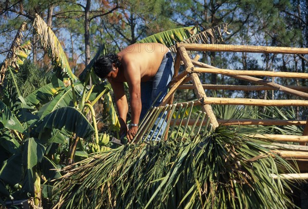 USA, Florida, Everglades, Independent Seminole Native American thatching a Chickee hut using palm fronds