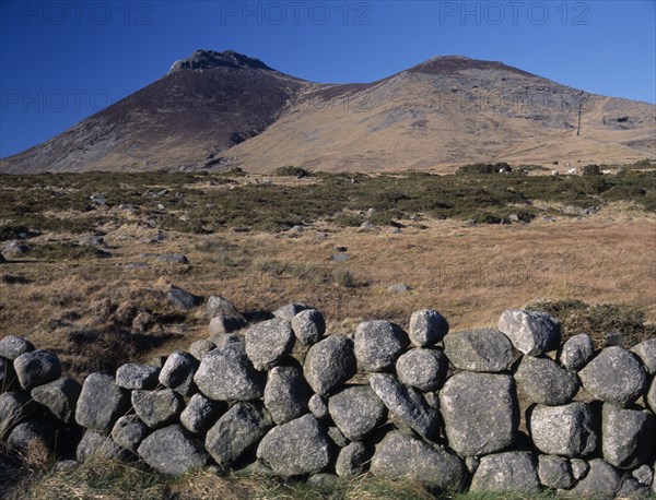 IRELAND, North, County Down, "Mourne Mountain landscape with gorse and coarse, golden brown grasses, grazing sheep and stone wall in foreground."