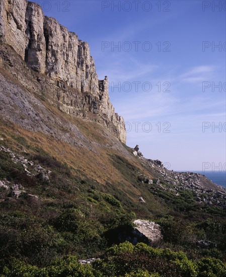 ENGLAND, Dorset, Jurassic Coastline, West facing cliffs of St Aldhelms or Albans Head             62metres (205feet)