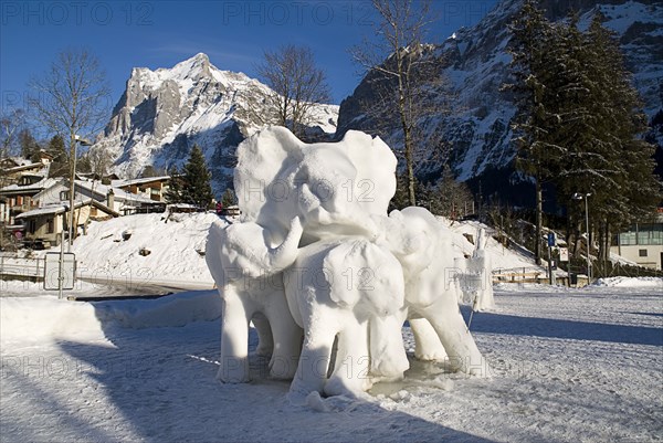 SWITZERLAND, Bernese Oberland, Grindelwald, World Snow Festival Ice Sculpture depicting elephants. Great Britain entry