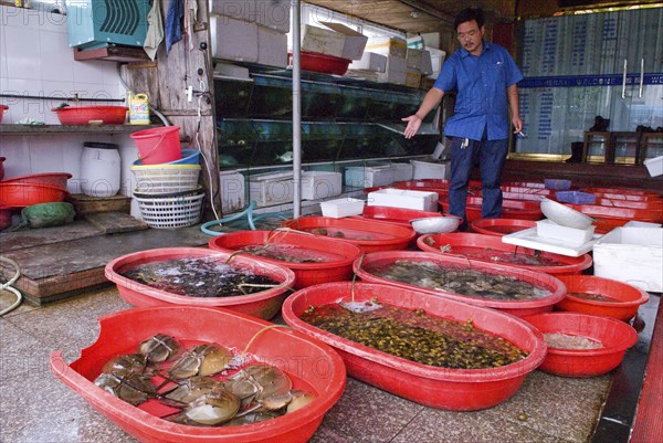 CHINA, Zhejiang , Zhoushan, Seafood restarurant owner showing his selection of King Crabs in foreground