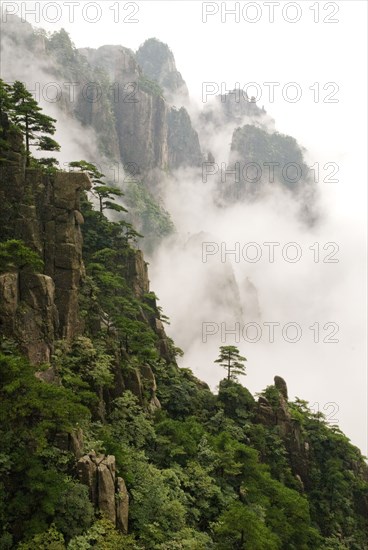 CHINA, Anhui Province, Huang Shan , Huangshan or the Yellow Mountain. Rock peaks with lush green pine trees and a sea of cloud. Has inspired countlless painters and poets over the ages and has a 1200-year history as a tourist attraction