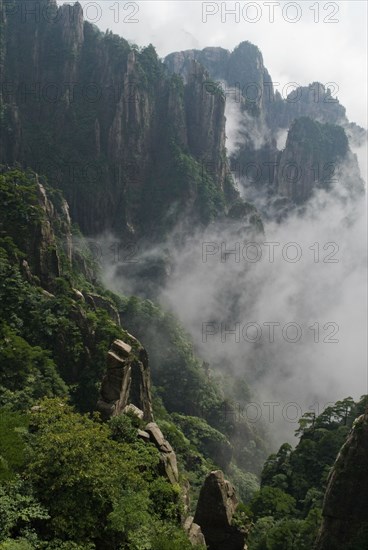 CHINA, Anhui Province, Huang Shan , Huangshan or the Yellow Mountain. Rock peaks with lush green pine trees and a sea of cloud. Has inspired countlless painters and poets over the ages and has a 1200-year history as a tourist attraction