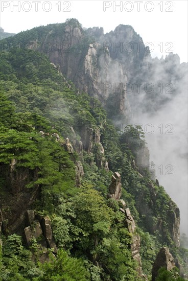 CHINA, Anhui Province, Huang Shan , Huangshan or the Yellow Mountain. Rock peaks with lush green pine trees and a sea of cloud. Has inspired countlless painters and poets over the ages and has a 1200-year history as a tourist attraction