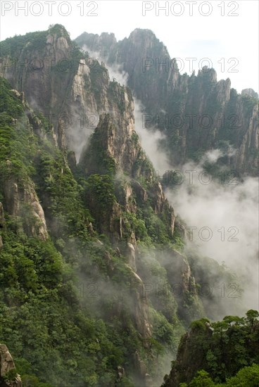 CHINA, Anhui Province, Huang Shan , Huangshan or the Yellow Mountain. Rock peaks with lush green pine trees and a sea of cloud. Has inspired countlless painters and poets over the ages and has a 1200-year history as a tourist attraction