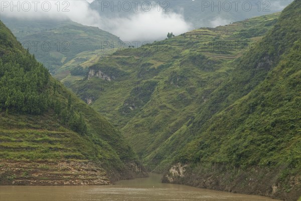 CHINA, Hubei , Three Gorges, Terraced hillsides in the Wu Gorge