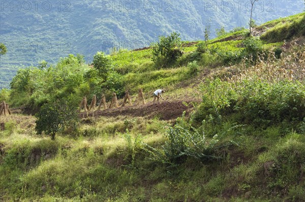 CHINA, Chongqing , Wushan, Farmer tilling the soil. This farm on the Daning River will be submerged when the Three Gorges Dam project is completed in 2009