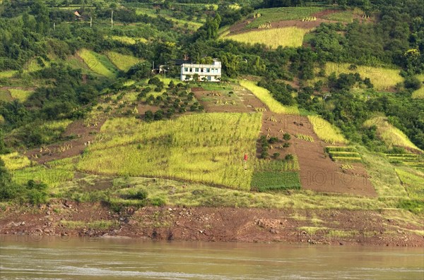 CHINA, Chongqing , Yangtze, Rich farmland on the banks of the Yangtze River near the Qutang Gorge