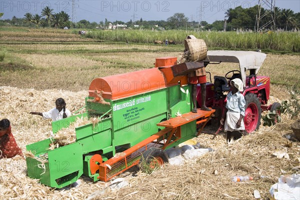 INDIA, Tamil Nadu, Agriculture, Farm labourers processing corn cobs on a type of threshing machine to remove leaves