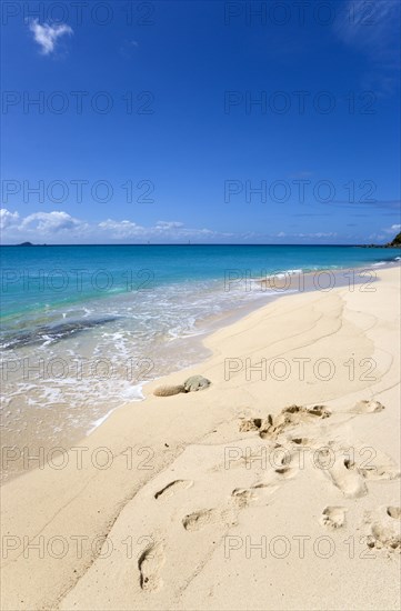 WEST INDIES, St Vincent And The Grenadines, Canouan Island, South Glossy Beach in Glossy Bay with waves breaking on the shoreline of the turqoise sea.