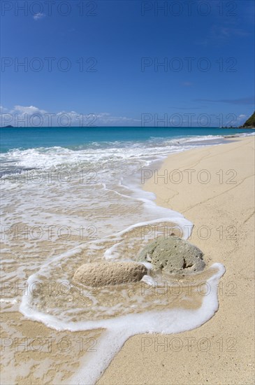WEST INDIES, St Vincent And The Grenadines, Canouan Island, South Glossy Beach in Glossy Bay with waves breaking around a large piece of coral on the shoreline of the turqoise sea.