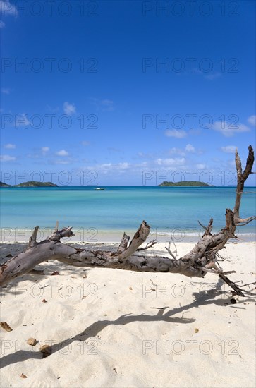 WEST INDIES, Grenada, Carriacou, "Dead branch of a tree in the sand with waves breaking on Paradise Beach at L'Esterre Bay with the turqoise sea, a fishing boat at anchor and small islands beyond"