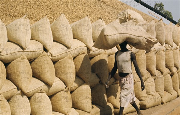 SENEGAL, Kaolak, Man walking past a groundnut pyramid carrying a large full sack on head