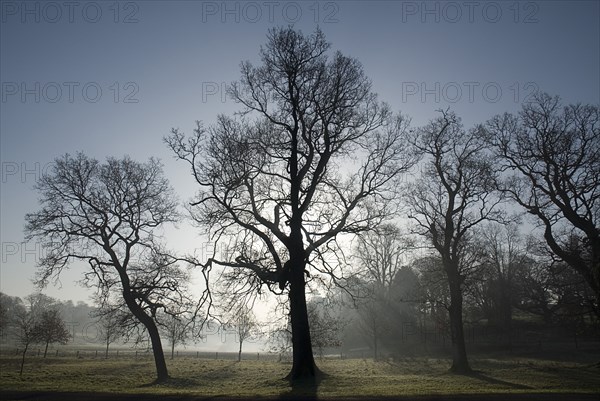 20093546 IRELAND Fermanagh Enniskillen Castle Coole estate on a frosty morning