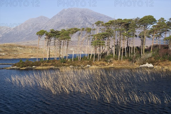 20093575 IRELAND Galway Connemara Derryclare Lough with Maumturk Mountains behind
