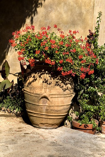 20093651 ITALY Campania Ravello Villa Cimbrone. Urn with flowers