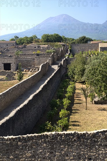20093675 ITALY Campania Pompeii View over the eastern section of the ruined city with Vesuvius in the background