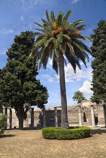 20093676 ITALY Campania Pompeii House of the Faun interior with Mount Vesuvius in the background