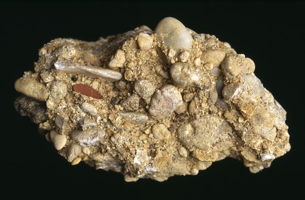 Geology, Rocks, "Conglomerate rock found in Berkshire, England. Sedimentary rocks consisting of rounded fragments "