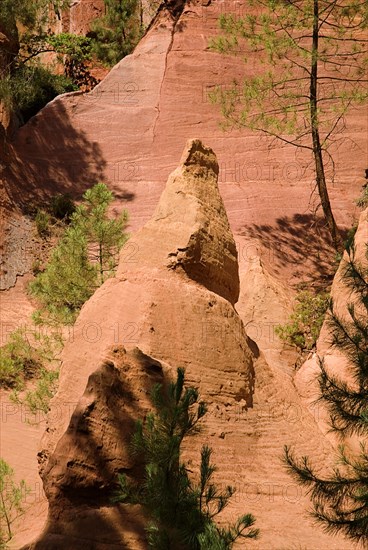 FRANCE, Provence Cote d’Azur, Le Sentier des Ocres (The Ochre Footpath) , Red ochre cliffs and outcrops and pine trees in the area known as the Needle Cirque.