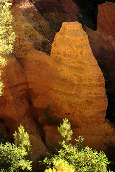 FRANCE, Provence Cote d’Azur, Le Sentier des Ocres (The Ochre Footpath) , Evening light on rock face in the Belvedere Panorama area part framed by tree tops.