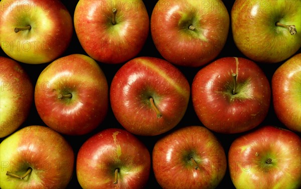 FOOD, Citrus, Fruit, An overhead view down onto a group of red apples