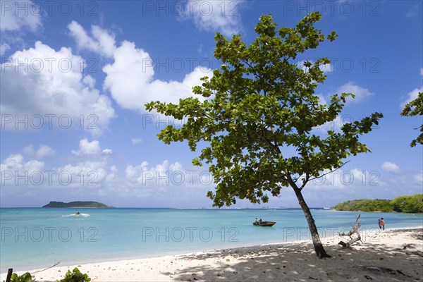 WEST INDIES, Grenada, Carriacou, The calm clear blue water breaking on Paradise Beach in L'Esterre Bay with Sandy Island on the horizon and people on the shoreline and in boats in the water. A single tree gives shade on the beach