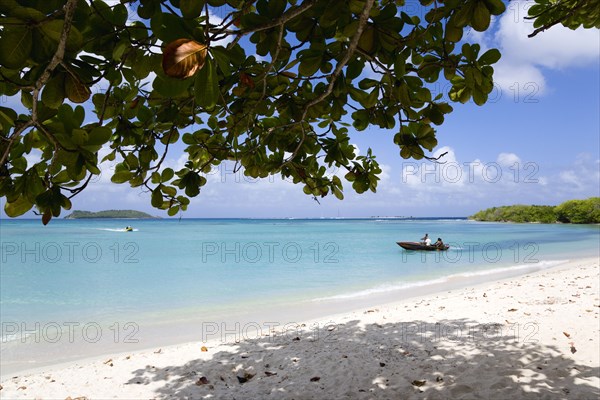 WEST INDIES, Grenada, Carriacou, The calm clear blue water breaking on Paradise Beach in L'Esterre Bay with Mabouya Island and Sandy Island on the horizon and people in boats in the water. A single tree gives shade on the beach