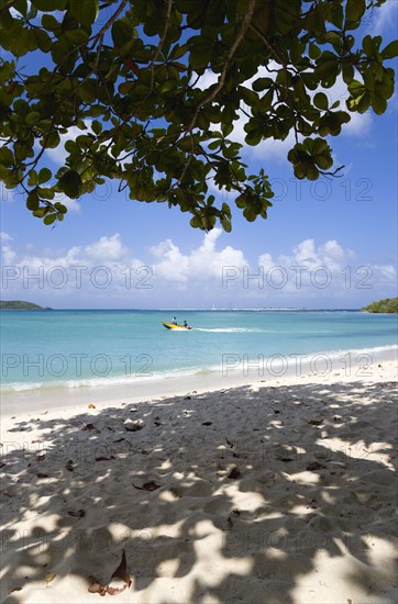 WEST INDIES, Grenada, Carriacou, The calm clear blue water breaking on Paradise Beach in L'Esterre Bay with Mabouya Island and Sandy Island on the horizon and people in a speedboat heading out to sea. A single tree gives shade on the beach