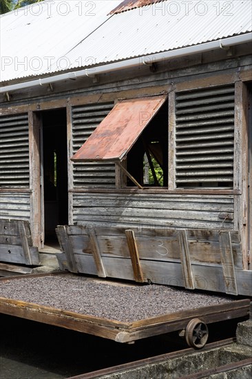 WEST INDIES, Grenada, St John, Cocoa beans drying in the sun on retractable racks under the drying sheds at Douglaston Estate plantation