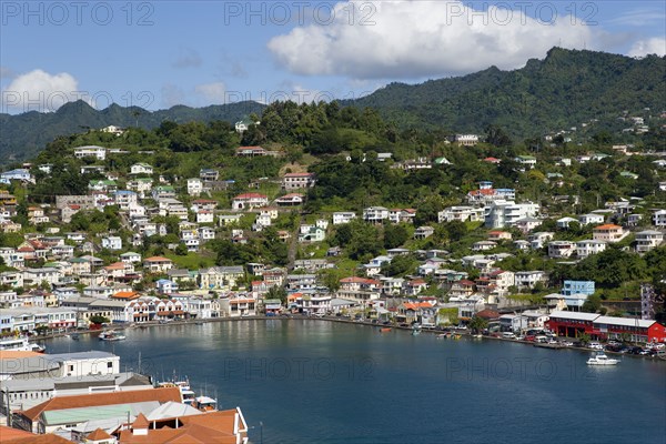 WEST INDIES, Grenada, St George, The Carenage harbour of the capital city of St George's surrounded by hills lined with houses and other buildings