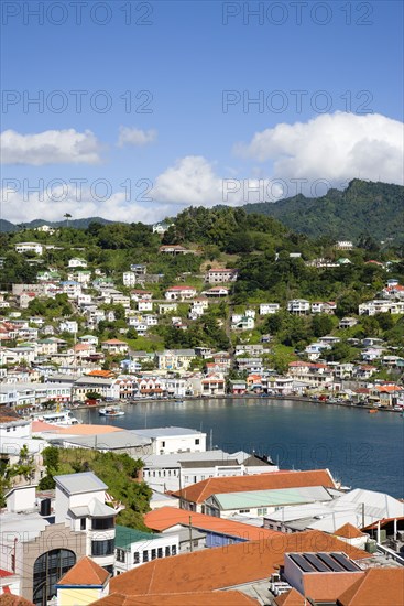 WEST INDIES, Grenada, St George, The Carenage harbour of the capital city of St George's surrounded by hills lined with houses and other buildings