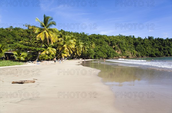 WEST INDIES, Grenada, St David, Coconut palm tree lined beach of La Sagesse with people playing on the sand and swimming in the sea