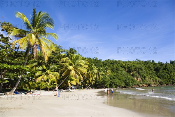 WEST INDIES, Grenada, St David, Coconut palm tree lined beach of La Sagesse with people playing on the sand and swimming in the sea
