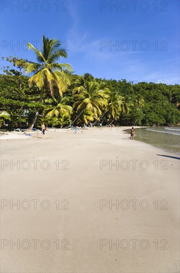 WEST INDIES, Grenada, St David, Coconut palm tree lined beach of La Sagesse with people playing on the sand