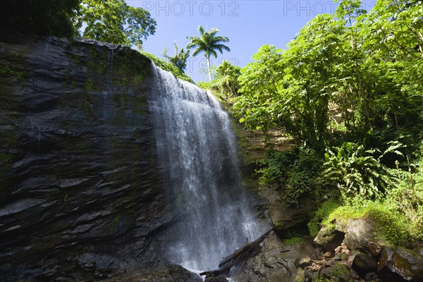 WEST INDIES, Grenada, St Andrew, Water cascading down the Royal Mount Carmell Waterfall surrounded by lush green vegetation