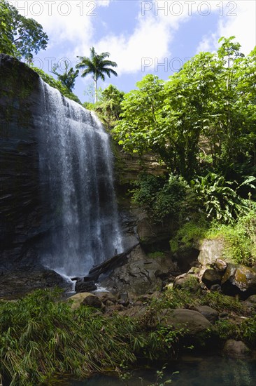 WEST INDIES, Grenada, St Andrew, Water cascading down the Royal Mount Carmell Waterfall surrounded by lush green vegetation