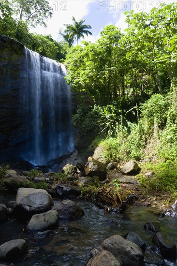 WEST INDIES, Grenada, St Andrew, Water cascading down the Royal Mount Carmell Waterfall surrounded by lush green vegetation