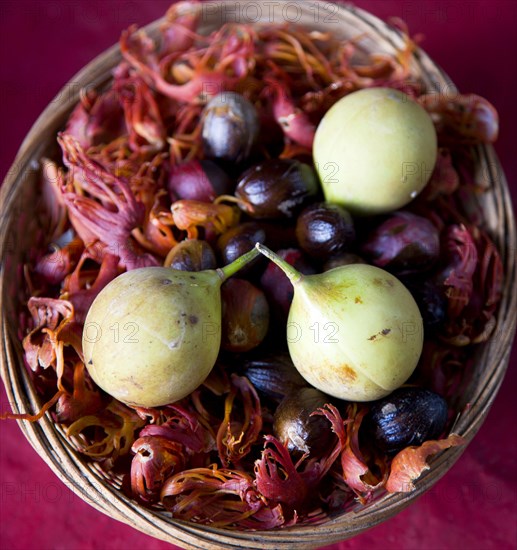 WEST INDIES, Grenada, St Patrick, Basket at the Belmont Estate plantation in St Patrick parish containing nutmeg fruit nutmegs and mace