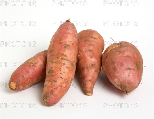FOOD, Vegetable, Root Vegetable, Group shot of orange North American sweet potatoes on a white background