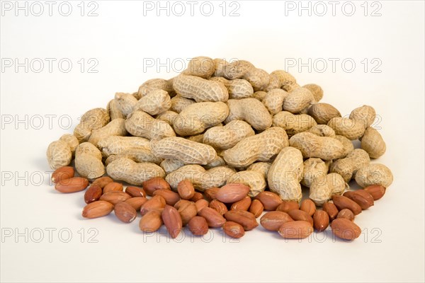 FOOD, Nuts, Groundnuts, Peanuts and kernels on a white background