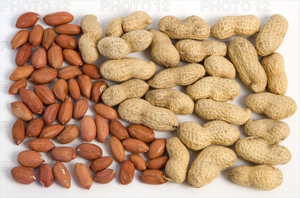 FOOD, Nuts, Groundnuts, Peanuts and kernels on a white background