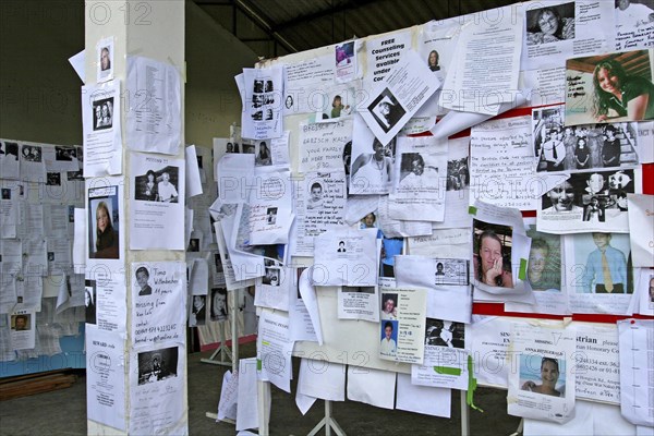 THAILAND, Phuket, Tsunami. Hundereds of pictures posted up at the town hall on the 2nd Jan.